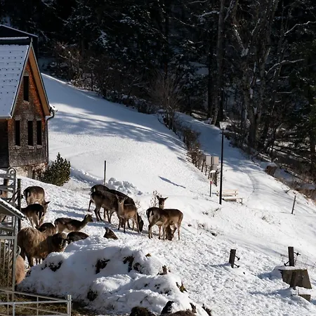 Chalet Peterhof